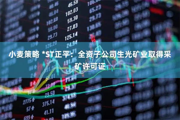 小麦策略 *ST正平：全资子公司生光矿业取得采矿许可证