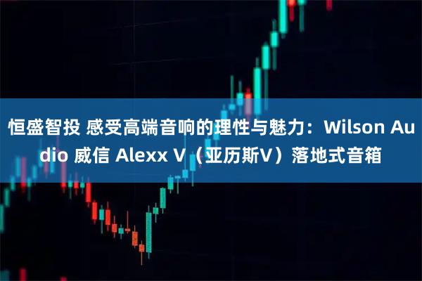 恒盛智投 感受高端音响的理性与魅力：Wilson Audio 威信 Alexx V（亚历斯V）落地式音箱